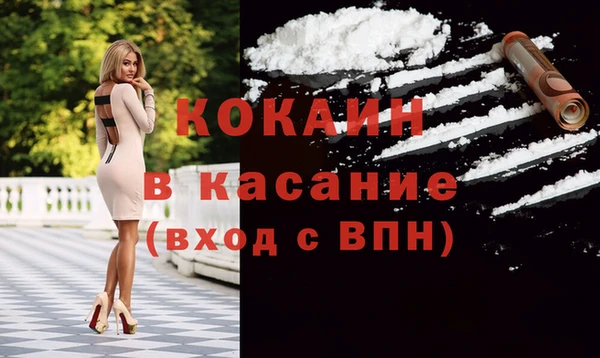 прущие грибы Абаза