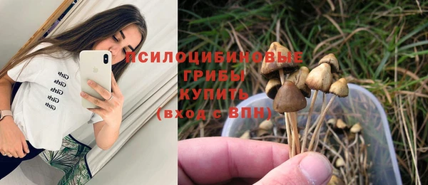 дмт Алзамай