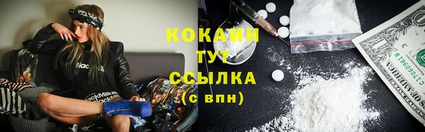 тгк Лагань