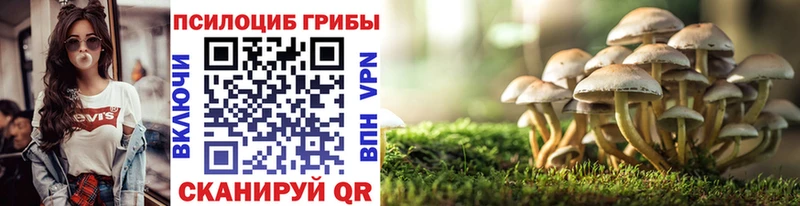 это состав  Полтавская  Галлюциногенные грибы Psilocybine cubensis  купить  