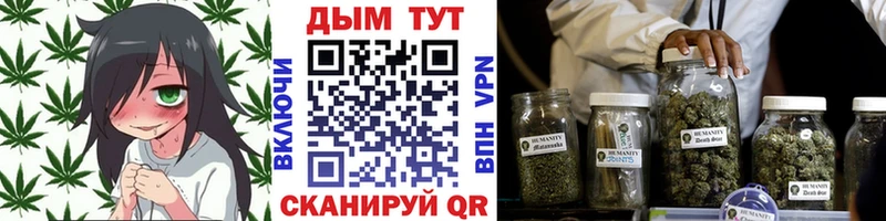 Канабис Bruce Banner  Полтавская 